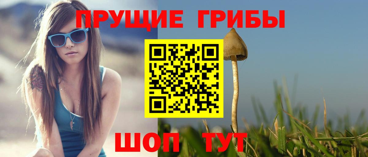 Псилоцибиновые грибы мицелий  Вход с VPN  Соликамск 